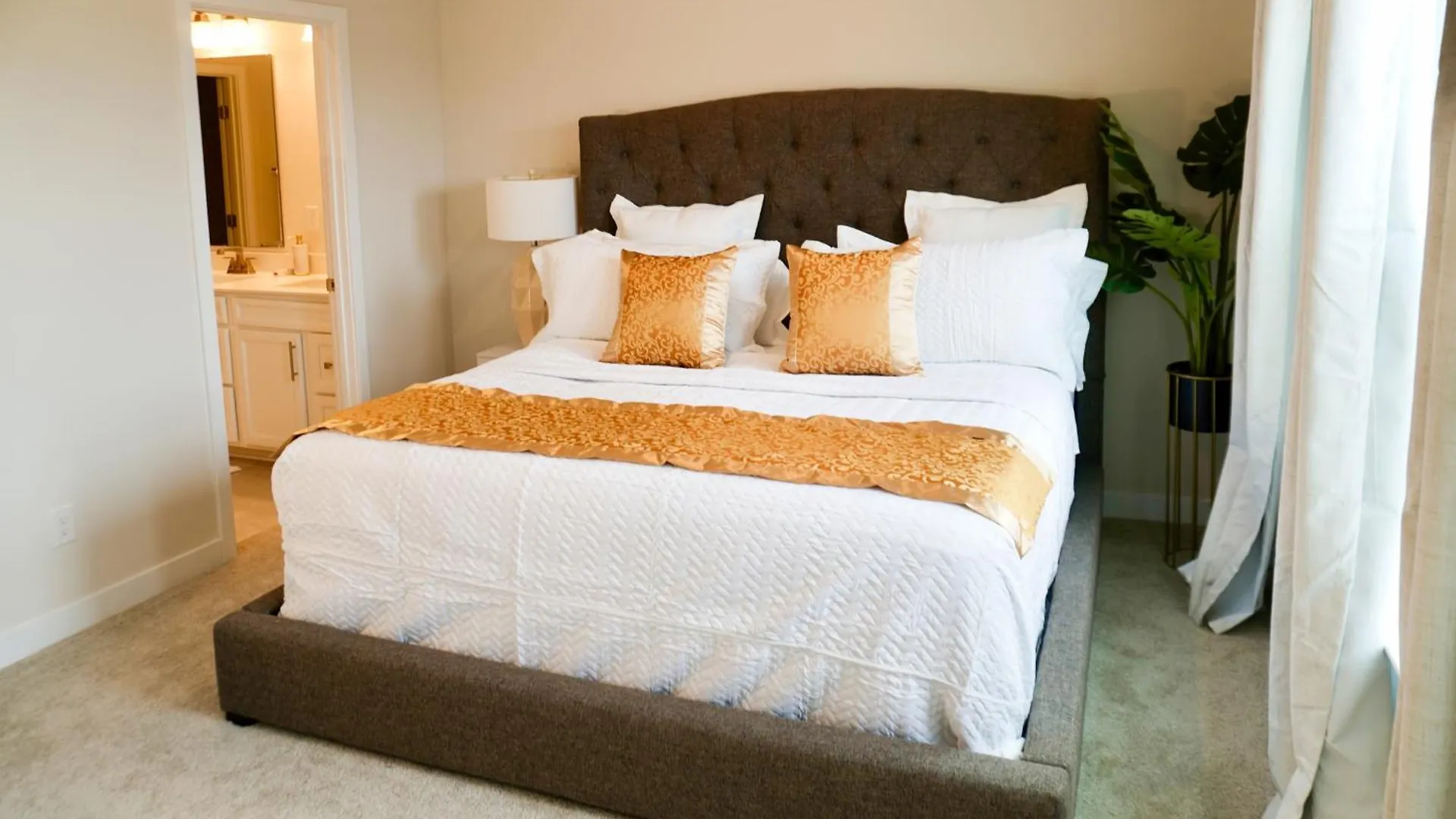 Go Luxury Apartment Charlotte